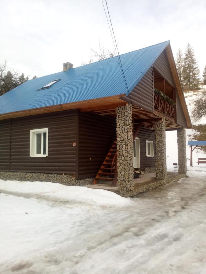 "Відпочинок В Карпатах" Villa Iszka Kültér fotó