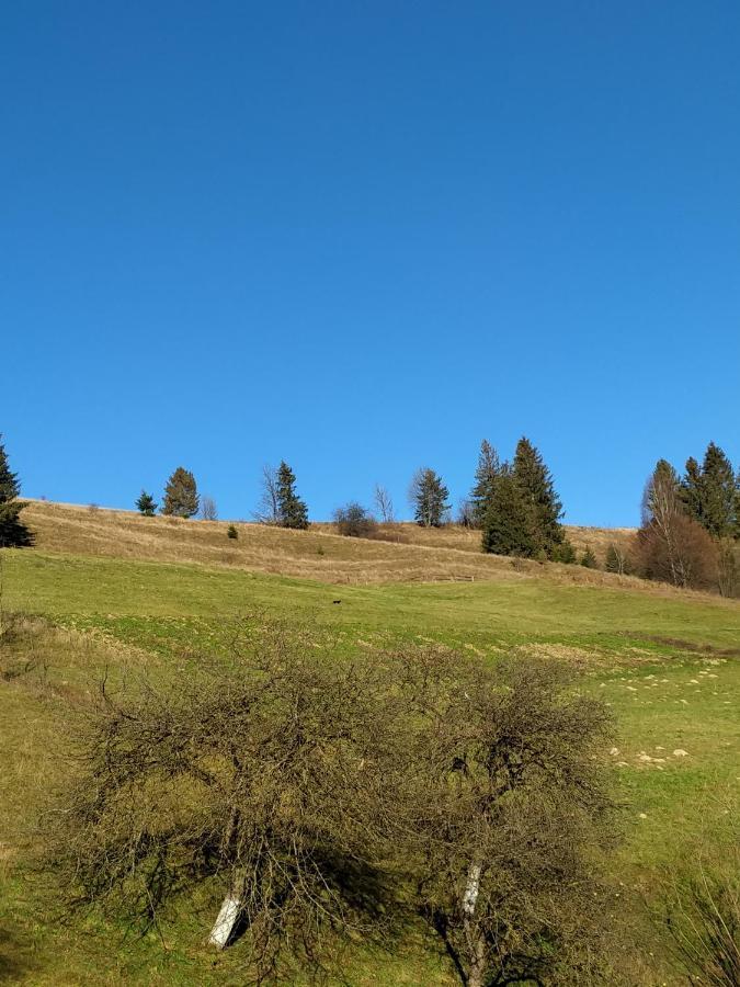 "Відпочинок В Карпатах" Villa Iszka Kültér fotó
