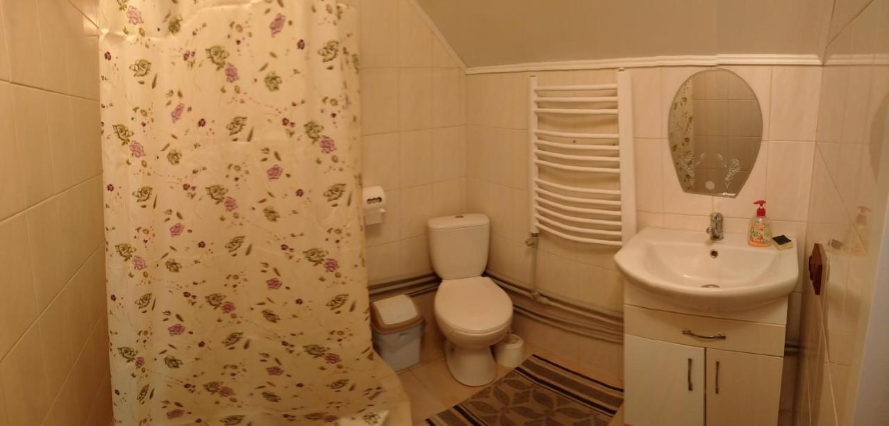 "Відпочинок В Карпатах" Villa Iszka Kültér fotó