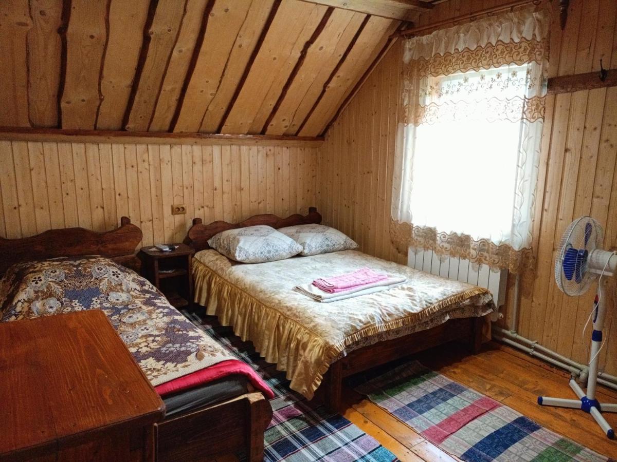 "Відпочинок В Карпатах" Villa Iszka Kültér fotó