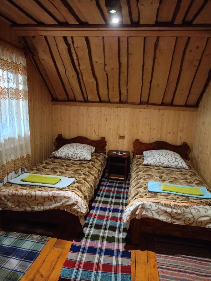 "Відпочинок В Карпатах" Villa Iszka Kültér fotó